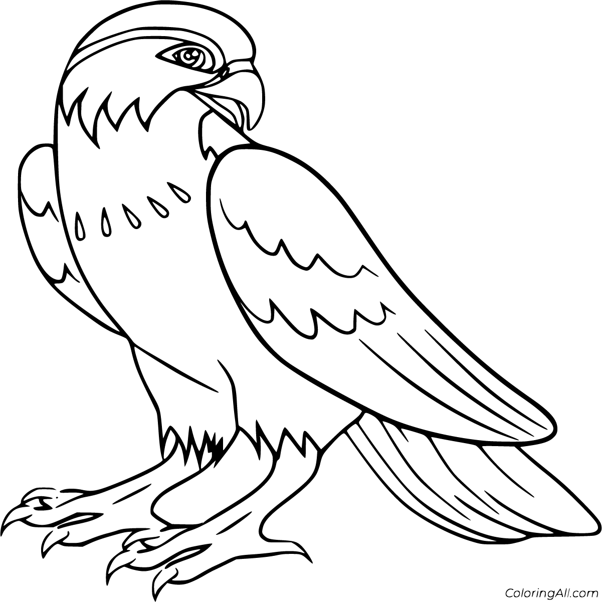 Free printable falcon coloring pages in vector format easy to print from any device and automatically fitâ coloring pages bird coloring pages falcon drawing