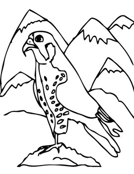 Anitails peregrine falcon story crossword coloring page and more