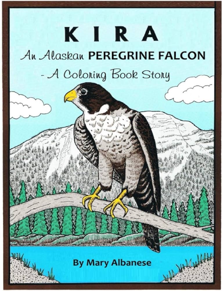 Kira an alaskan peregrine falcon a coloring book albanese mary books