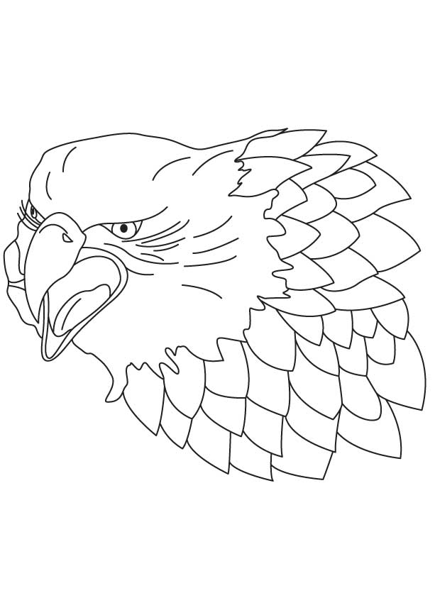 Head of falcon coloring page download free head of falcon coloring page for kids best coloring pages