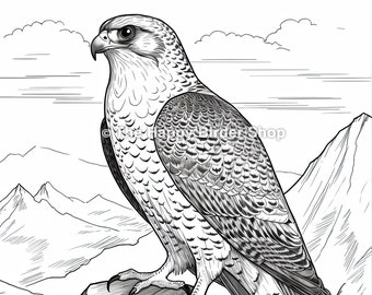 Peregrine falcon coloring page bird lover gift wildlife art printable art stress relief adult coloring pages bird coloring pages jpg