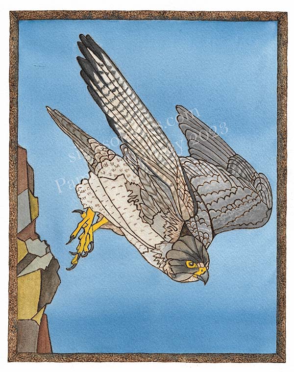 Cliff dive peregrine falcon art giclee print â signs of aries