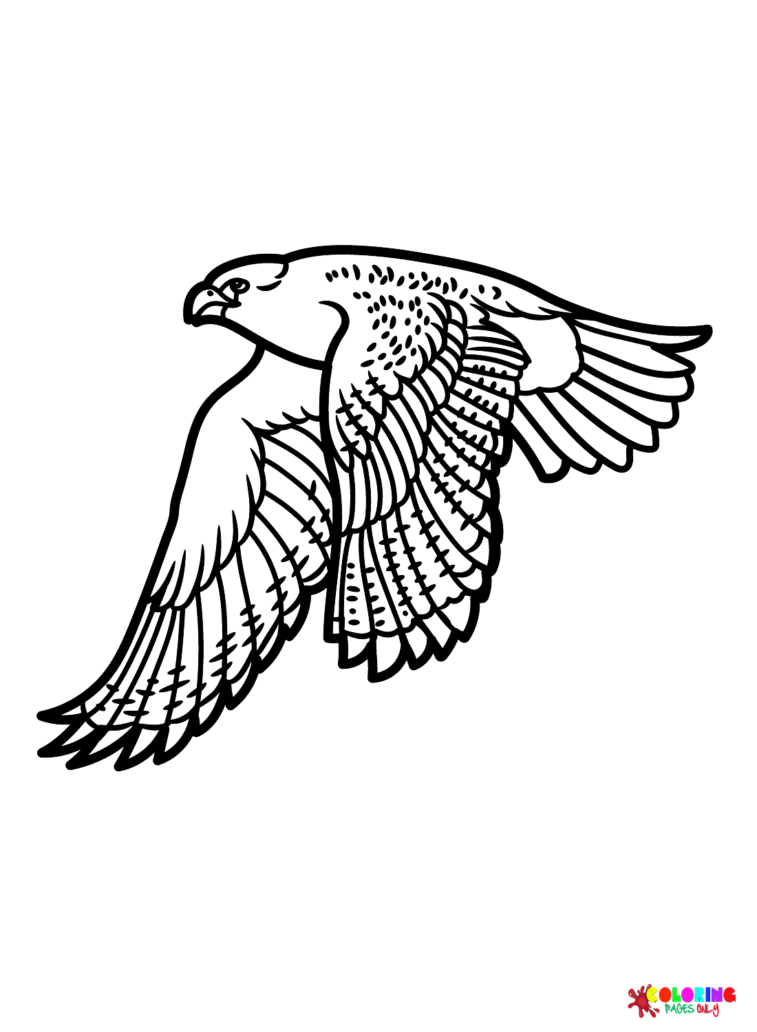 Falcon coloring pages