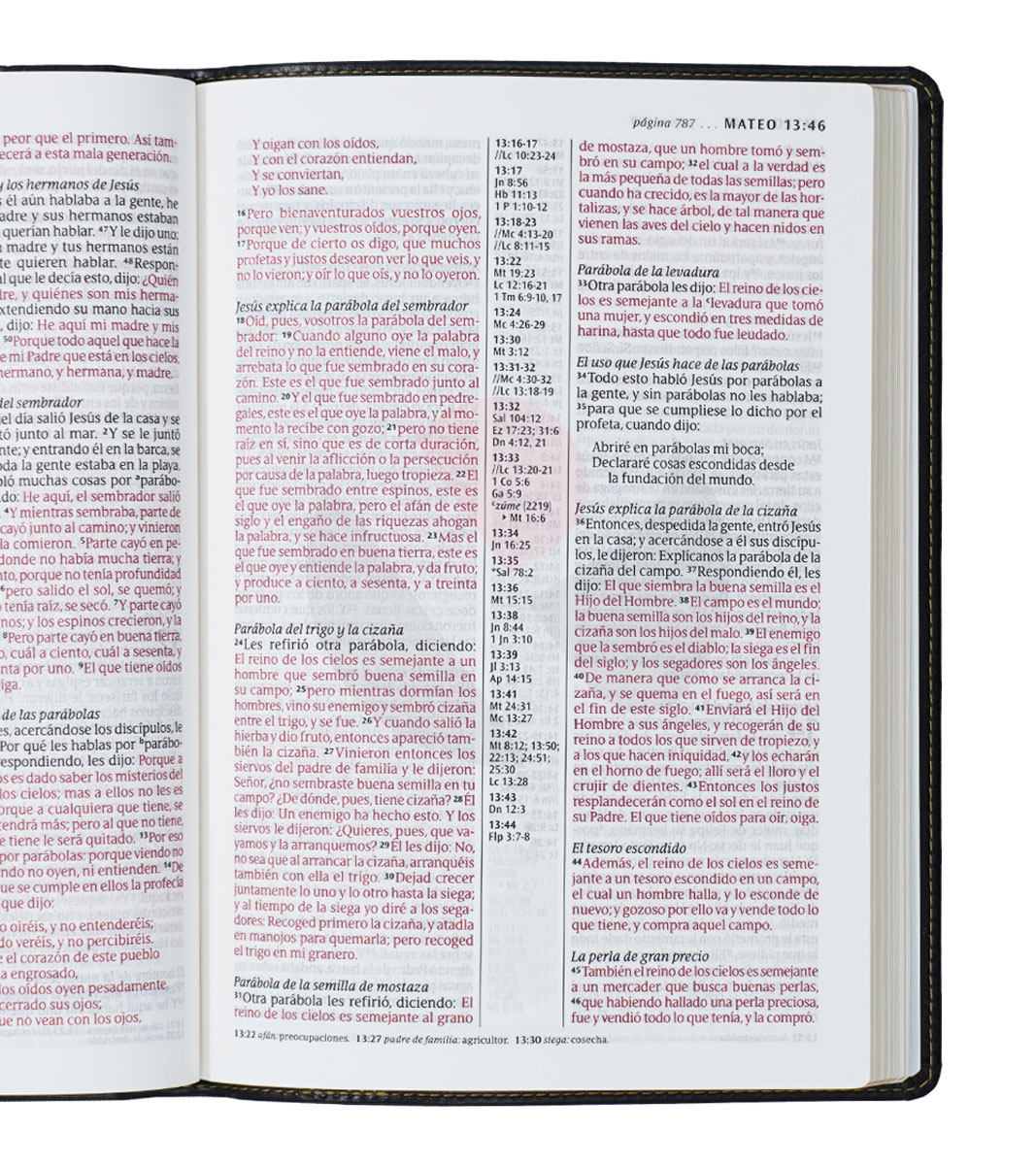 Biblia ultrafina con letra grande rvr