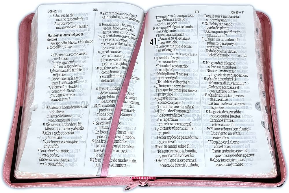 Biblia letra gigante para mujer con cierre reina valera manual rosado floral con indice video games
