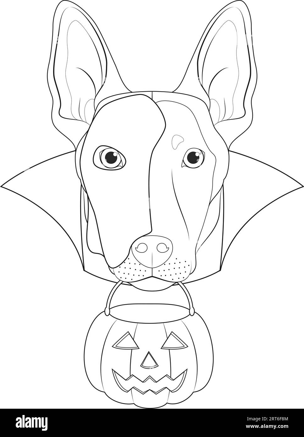 Tarjeta de felicitaciãn de halloween para colorear perro belga sheperd malinois con una media mãscara blanca sobre su cara capa negra y una calabaza en la boca imagen vector de stock