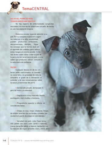 Vida canina ed by kapital group