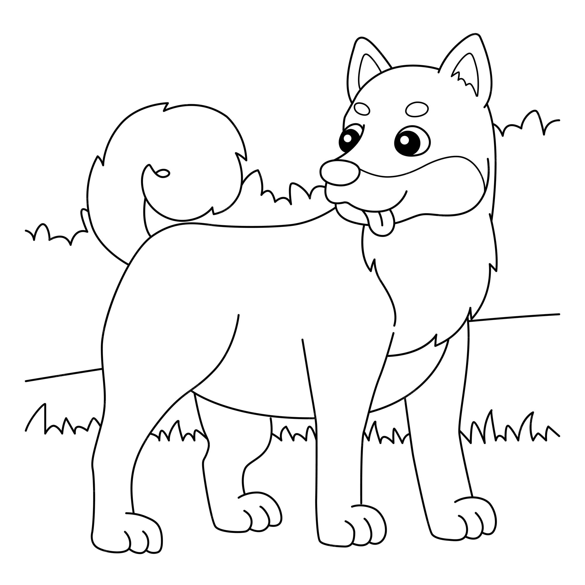 Premium vector shiba inu dog coloring page for kids