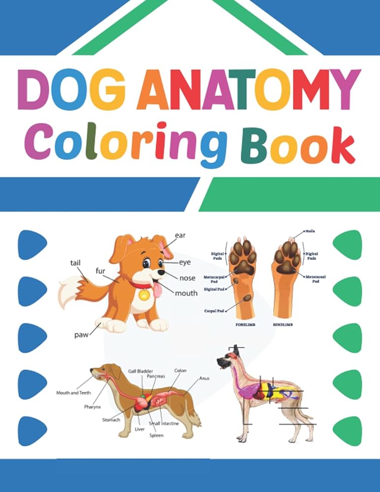 Dog anatomy coloring book learn dog anatomy with fun easy great book for learn about the dog anatomy perfect gift for medical school students dog anatomy learning book with