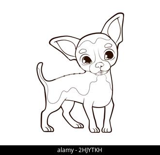 Coloring book little funny chihuahua dog with big ears stands on thin paws vector illustration in cartoon style black and white line stock vector image art