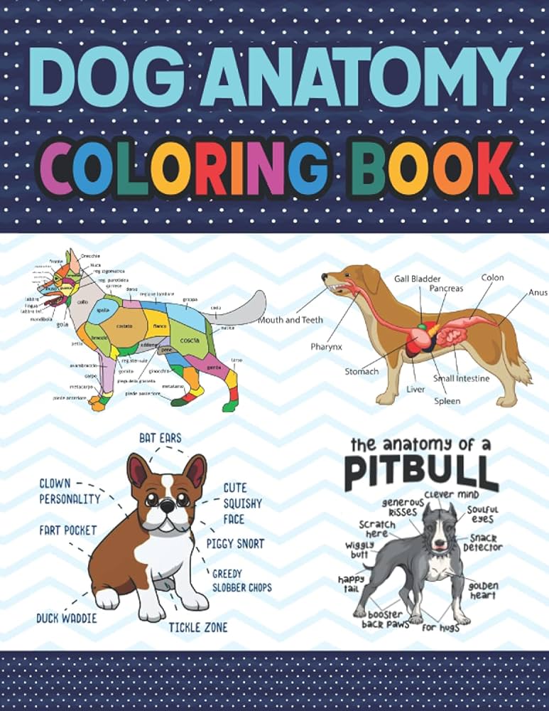 Dog anatomy coloring book a great dog anatomy coloring book for kids toddlers preschoolers perfect gift for veterinary anatomy students a great dog anatomy coloring book for kids