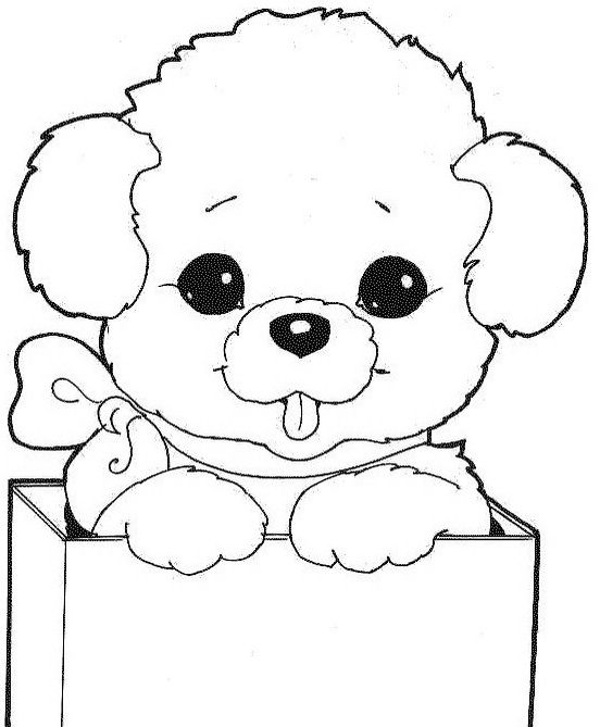 Perrito dog coloring page animal coloring pages cute coloring pages