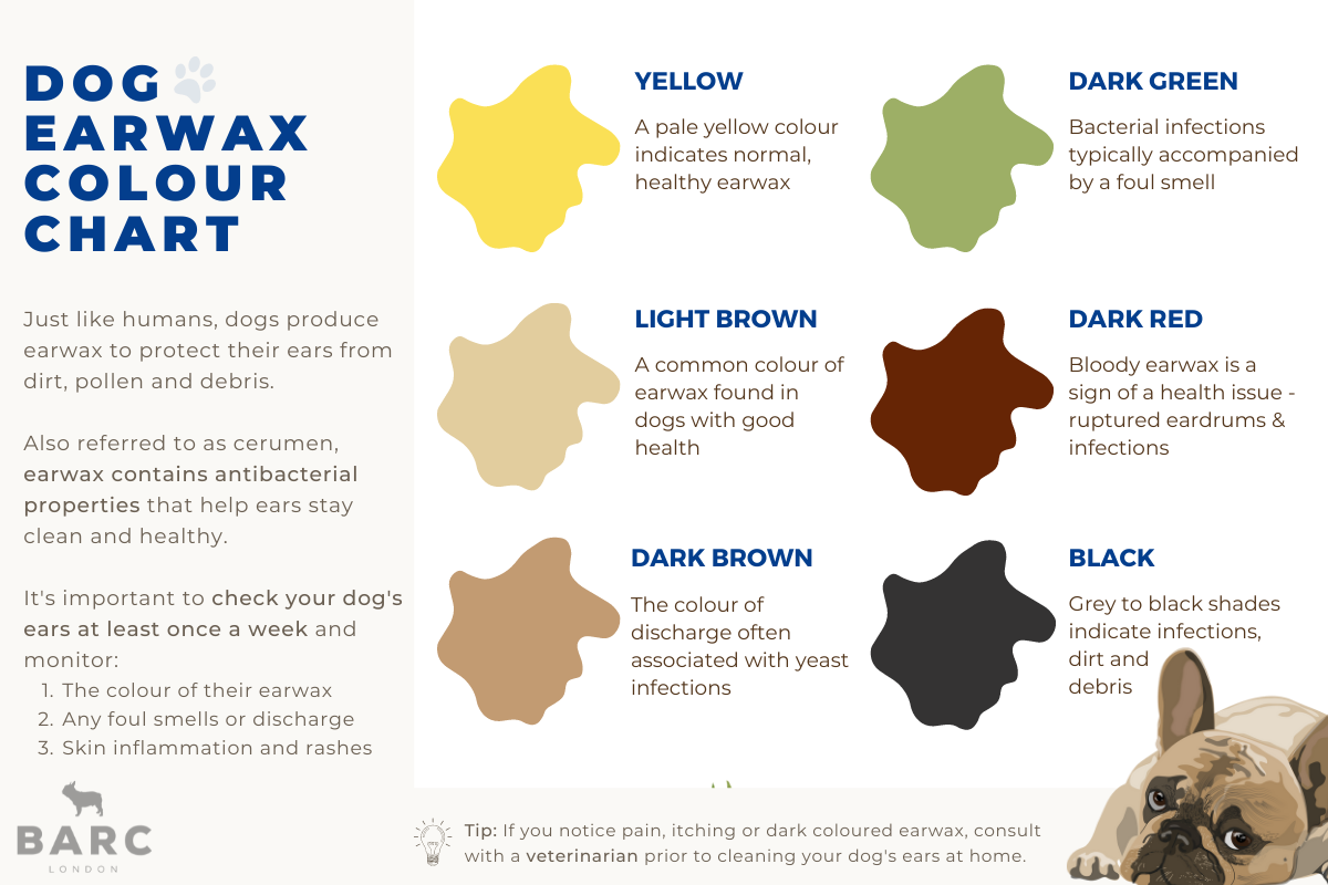 Dog earwax colour chart care guide barc london