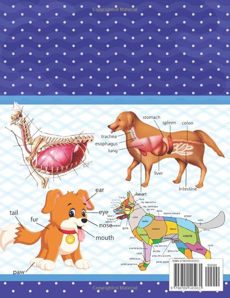 Dog anatomy coloring book introduction to dog anatomy workbook kids relax dign for anatomy students younger kids for learn anatomy of dog dog dog anatomy coloring book for dog lovers