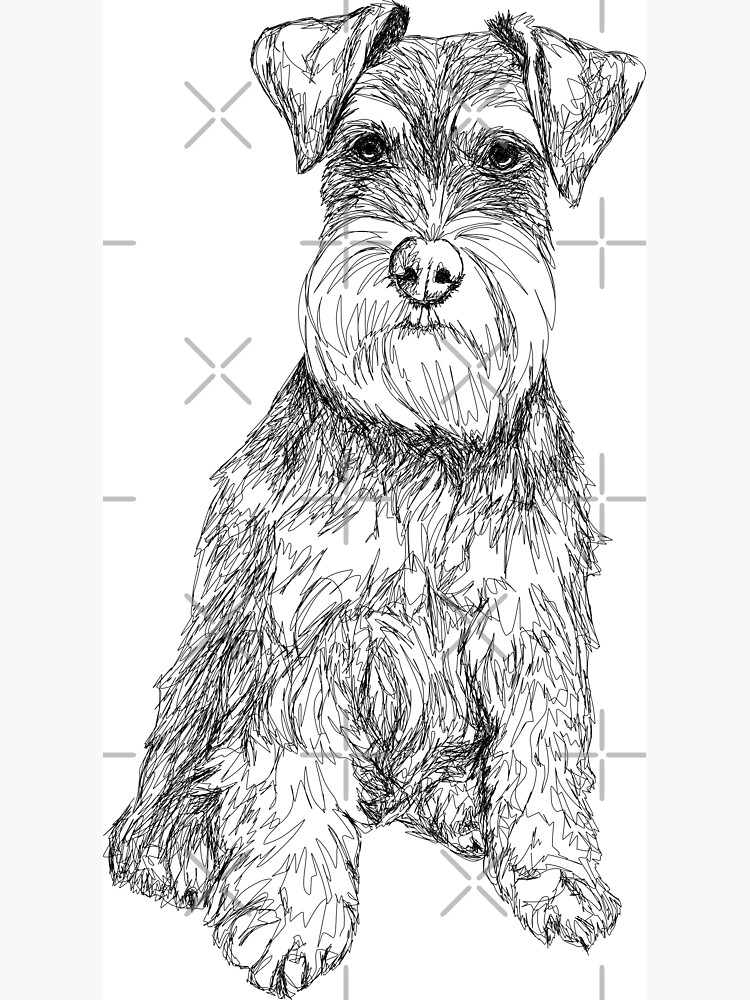 Dog drawing