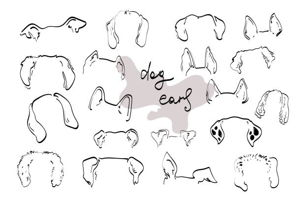 Pet dog ears outline drawing doodle sketch vector icon illustration stock illustration