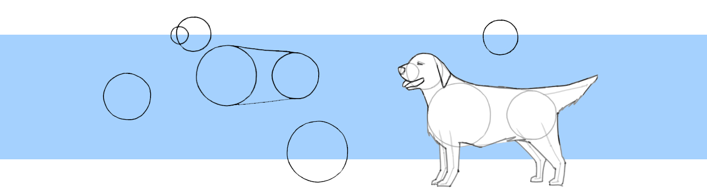 How to draw a dog step by step