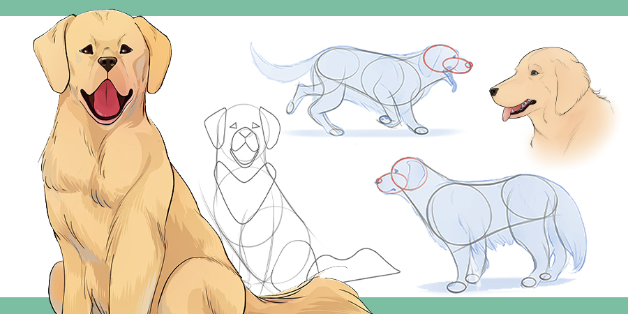 How to draw dogs art rocket