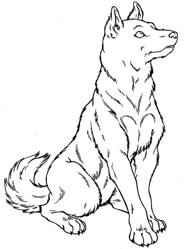 Coloring page dogs