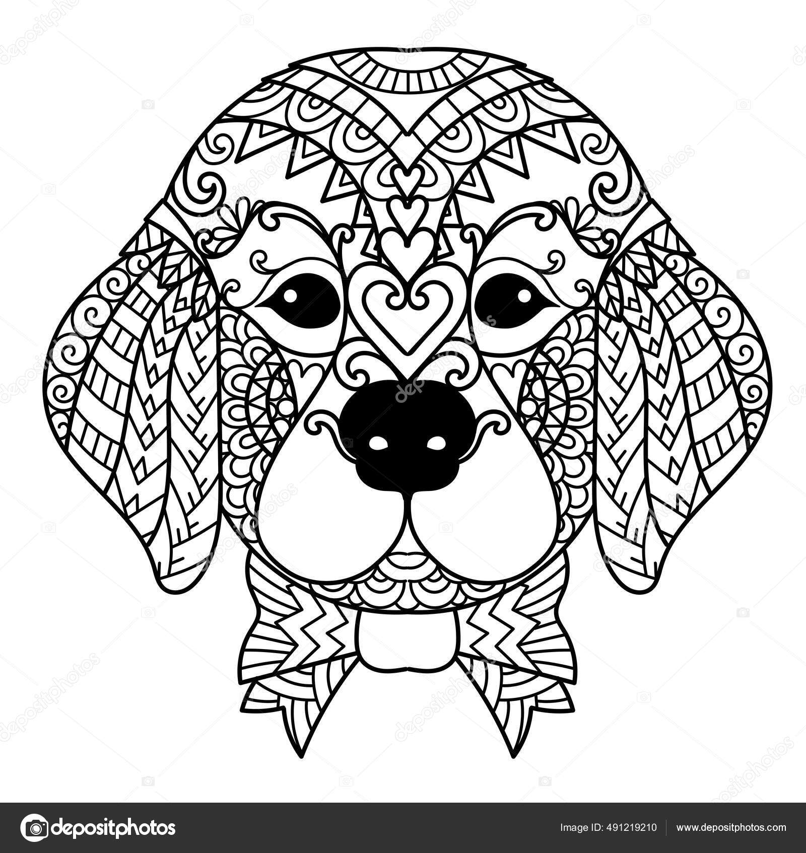 Mandala lindo perro retrever oro para imprimir producto grabado libro vector de stock por somjaicindygmail