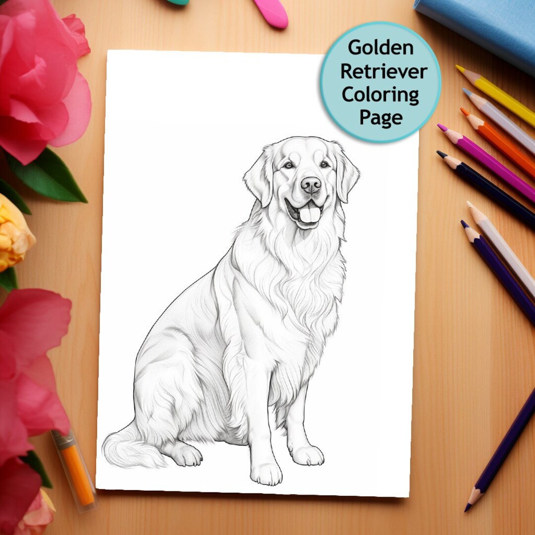 Golden retriever perro pãgina para colorear retrato de mascota pãgina para colorear imprimible colorear para adultos descarga instantãnea uso ercial