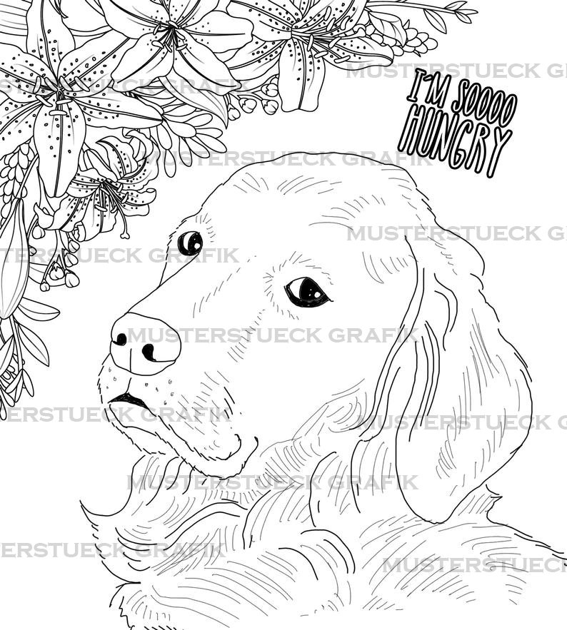 Golden retriever coloring book para adultos retriever coloring pages imprimible divertido hambriento y adorable retrievers perro para colorear libro digital