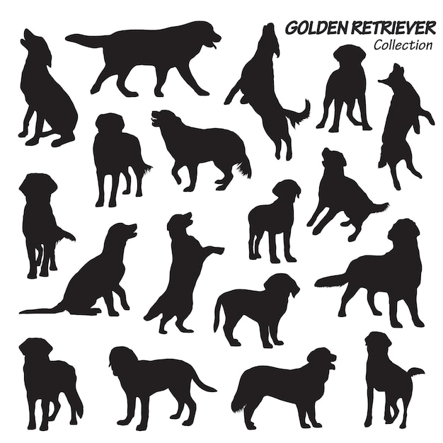 Silueta de perro perdiguero de oro vector premium