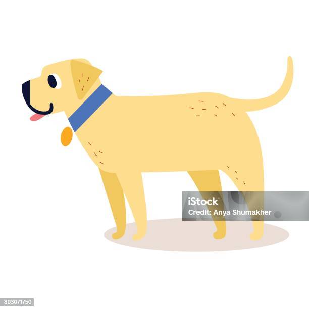 Ilustraciãn de perro perdiguero de oro de dibujos animados lindo cuello azul aislado sobre fondo blanco