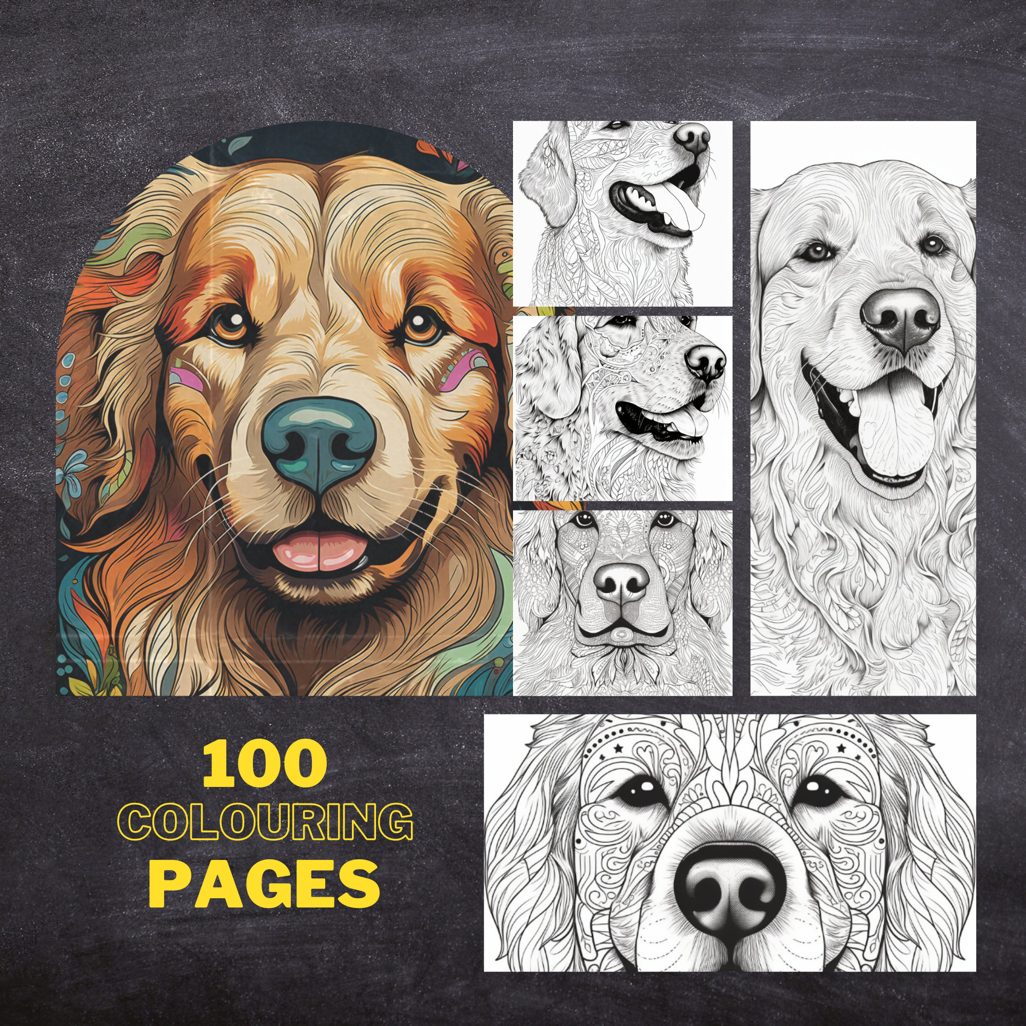 Libro de colorear para adultos con patrones asombrosos de golden retriever de peaceful patterns uk pãginas digitales para colorear e imprimir