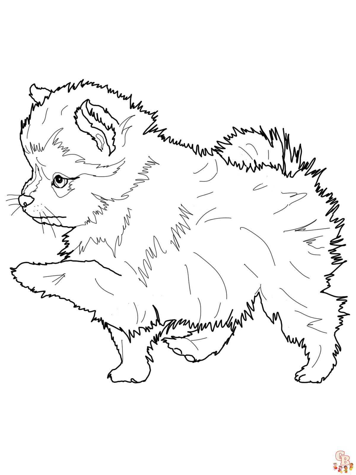 Fun and easy pomeranian and chihuahua coloring pages for kids