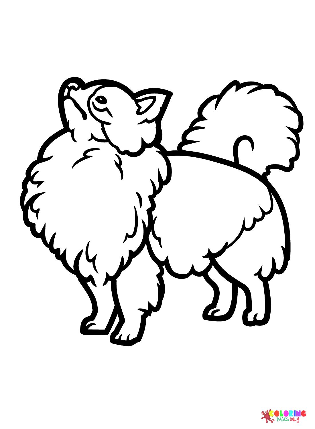 Chihuahua coloring pages printable for free download