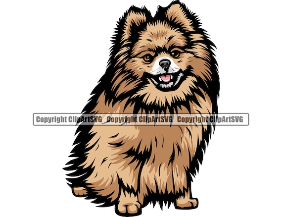 Pomerania perro sentado raza feliz pata cachorro cachorro mascota arte k