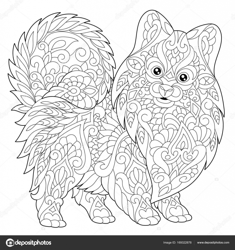 Zentangle stylized pomeranian dog stock vector by sybirko