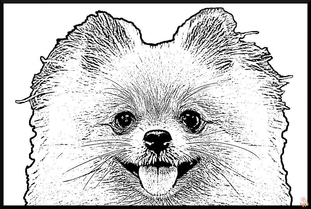 Fun and easy pomeranian and chihuahua coloring pages for kids