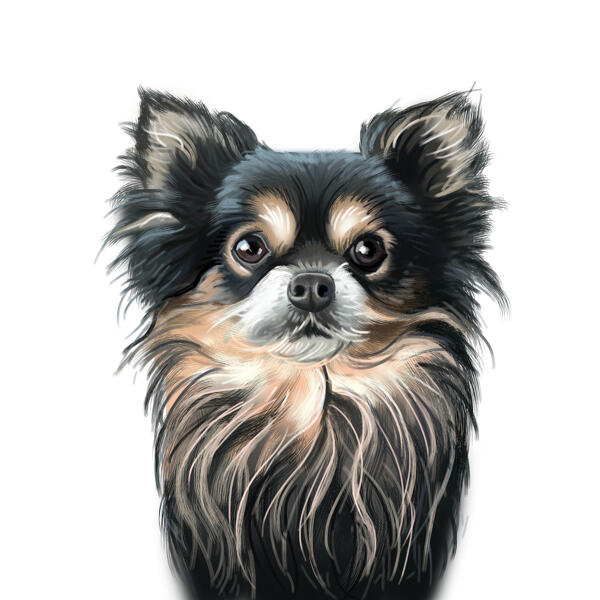 Spitz dog cartoon portrait in colored style from photo