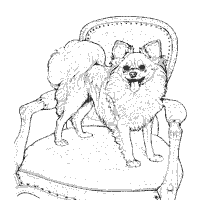 Pomeranian coloring pages