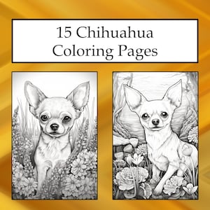 Chihuahua coloring