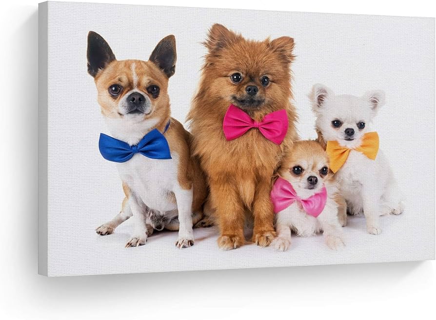 Smile art design cute puppies in bow tie pomeranian chihuahua dogs animal canvas wall art print pet owner dog lover mom dad gift living room bedroom kids baby nursery room decor