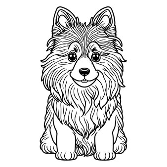 Pãgina vector e ilustracion de pomerania para dcargar gratis