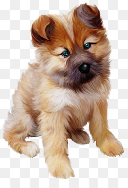 Pomeranian png