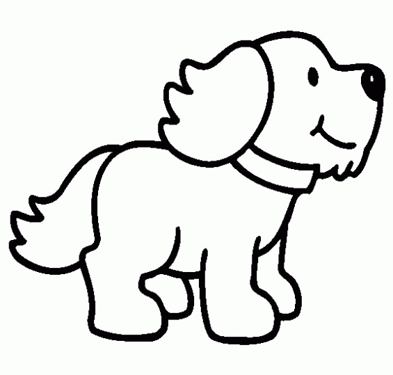 Perrito puppy coloring pages dog coloring page dog drawing for kids