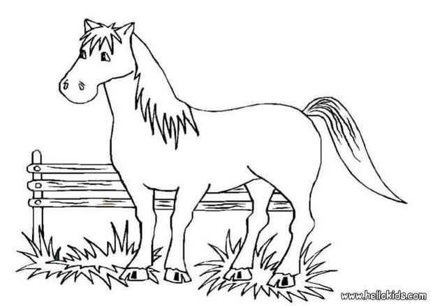 Beautiful horse coloring page