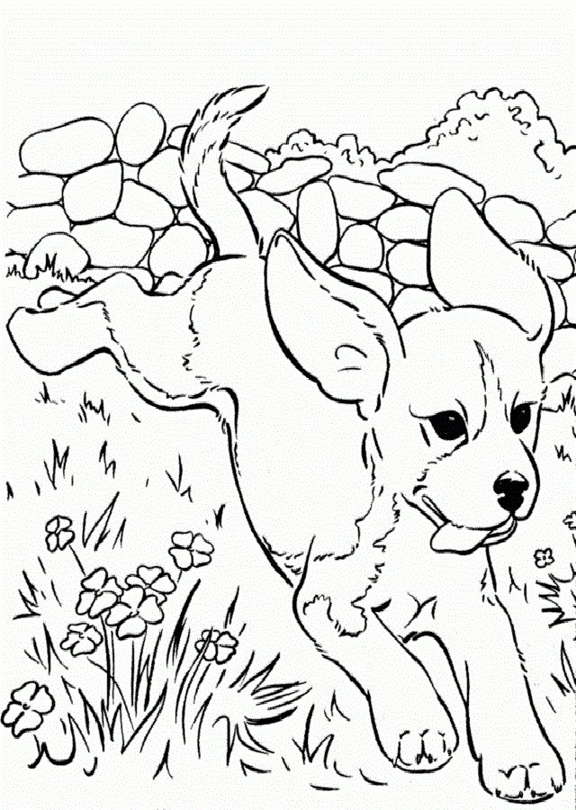 Pa imprimir dibujo perro corriendo pa colore pãginas pa colore de animales pãginas pa colore caballos dibujos de perros