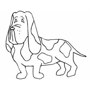 Dog with big ears bunny coloring pages coloring pages dog template