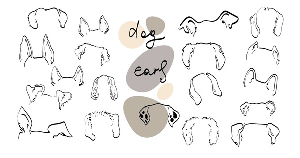 Dog ear paper mãs de ilustraciones y dibujos de stock con licencia libres de regalãas