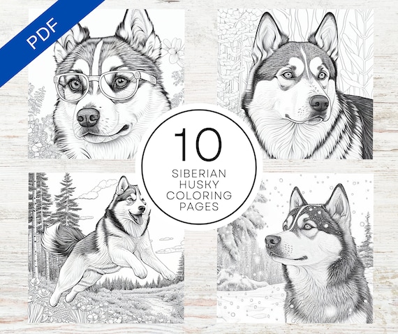 Dibujos para colorear de perros husky siberianos pdf imprimible a hojas para colorear de perros para adolescentes y adultos alivio del estrãs y relajaciãn