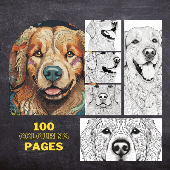 Libro de colorear para adultos con patrones asombrosos de golden retriever de peaceful patterns uk pãginas digitales para colorear e imprimir