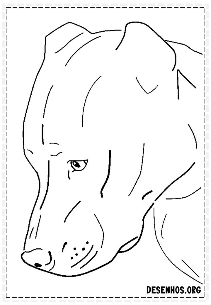 Desenhos de cachorros desenho de cachorro desenhos desenhos de cães