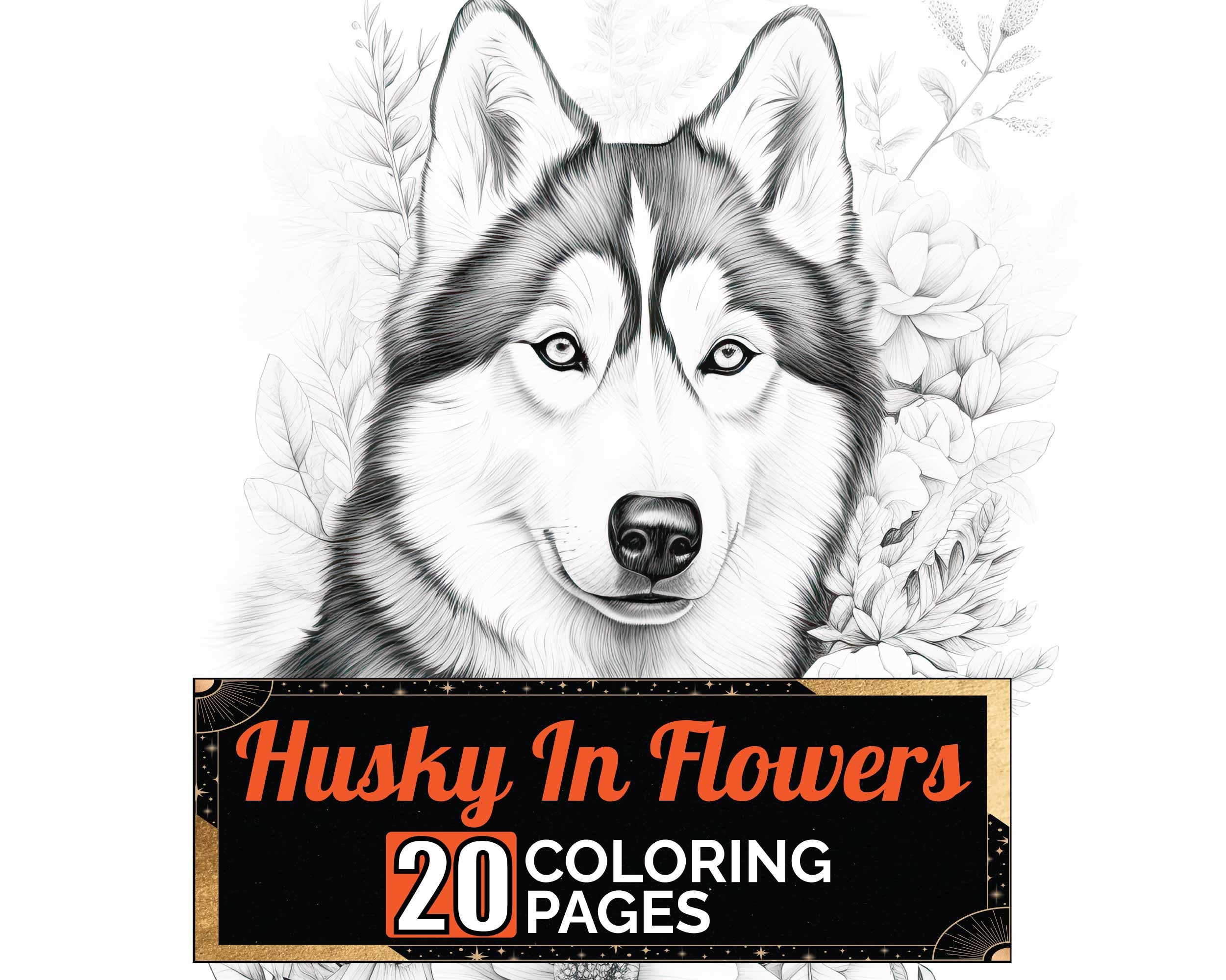 Husky coloring page