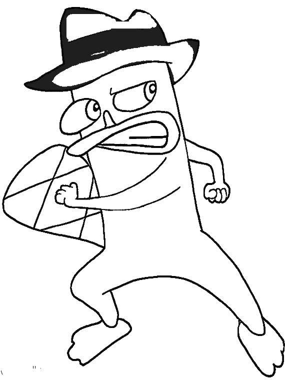 Online coloring pages coloring page perry phineas and ferb download print coloring page